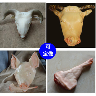 仿真生猪头模型白色猪头生羊头塑料假羊猪牛头可定做食品模型道具