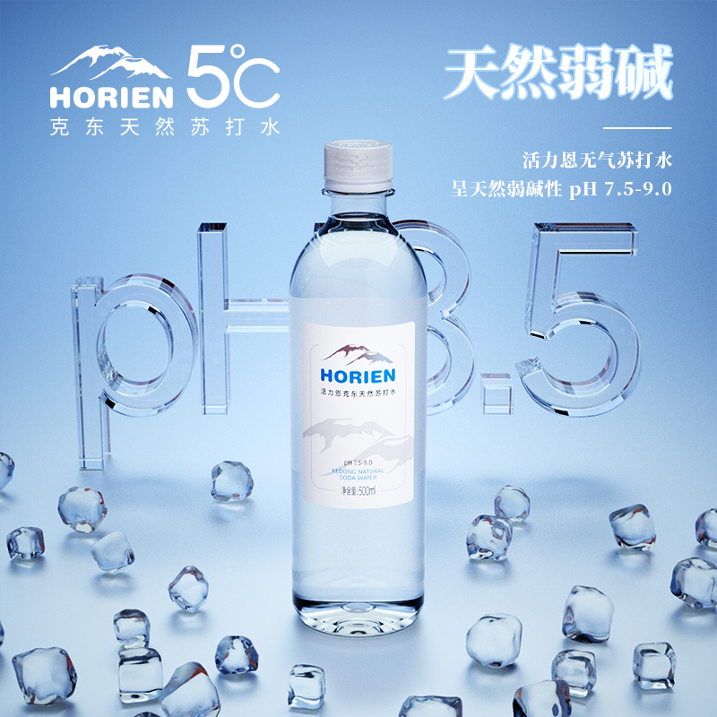 HORIEN/活力恩克东无糖无气无添加弱碱性天然苏打水500ML*12瓶