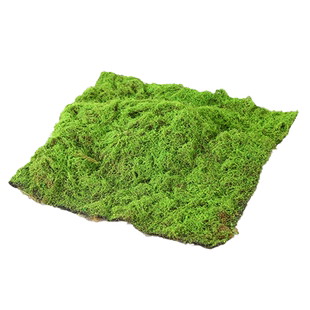 仿真青苔草皮苔藓苔藓块青苔植绒摆件软装造景假山草皮草坪