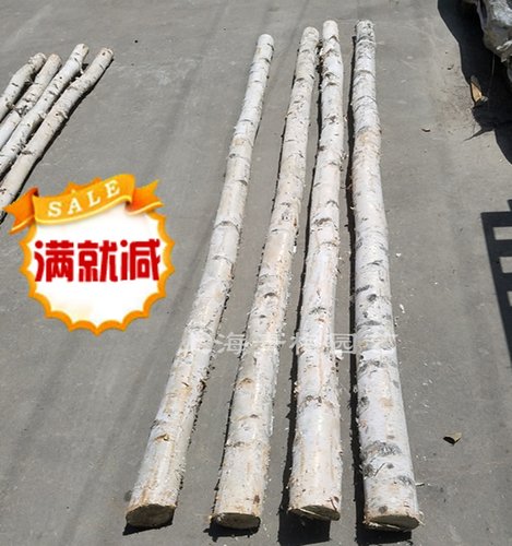 白桦树装饰真白桦树干实木真树干树枝树杈田园隔断屏风玄关背景墙