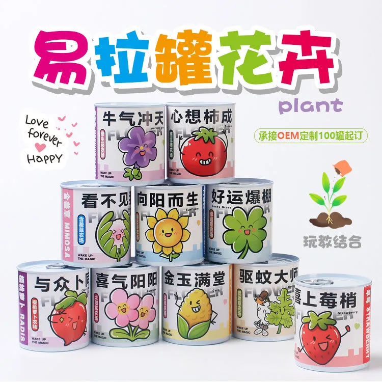 趣味易拉罐水果花草盆栽植物种植桌面摆件栽培盆景小绿植