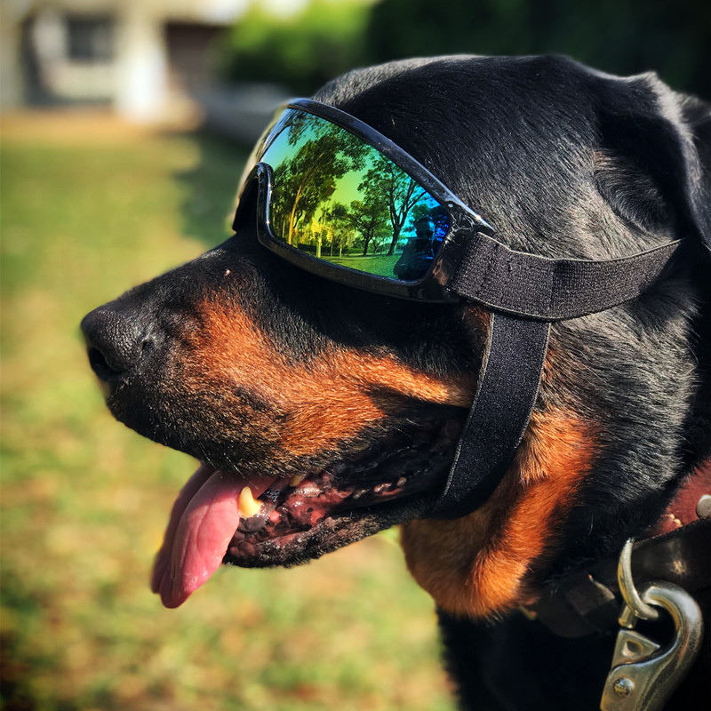 宠物眼镜狗狗太阳眼镜防紫外线墨镜中大型犬护目镜金毛滑雪眼镜