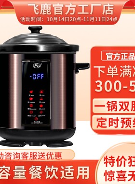 飞鹿 YDT-10B电炖锅家用陶瓷内胆隔水炖盅全自动大容量电砂煲汤粥