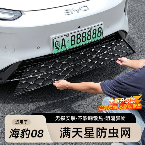 比亚迪海豹08中网防虫网满天星