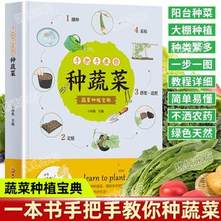 认准正版 零基础天然蔬菜种植宝典在家种出健康绿色生活有机蔬菜栽培种植技术大全书 手把手教你种蔬菜图说蔬菜栽培技术手绘图解版