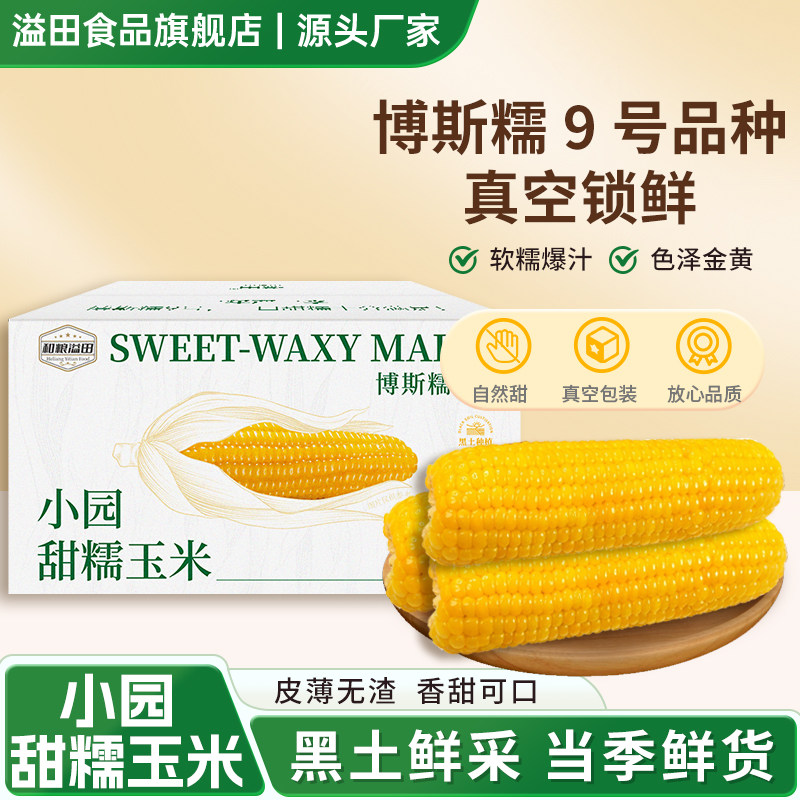 溢田东北新鲜糯玉米博斯糯9号盒装小圆甜糯玉米主食早餐加热即食