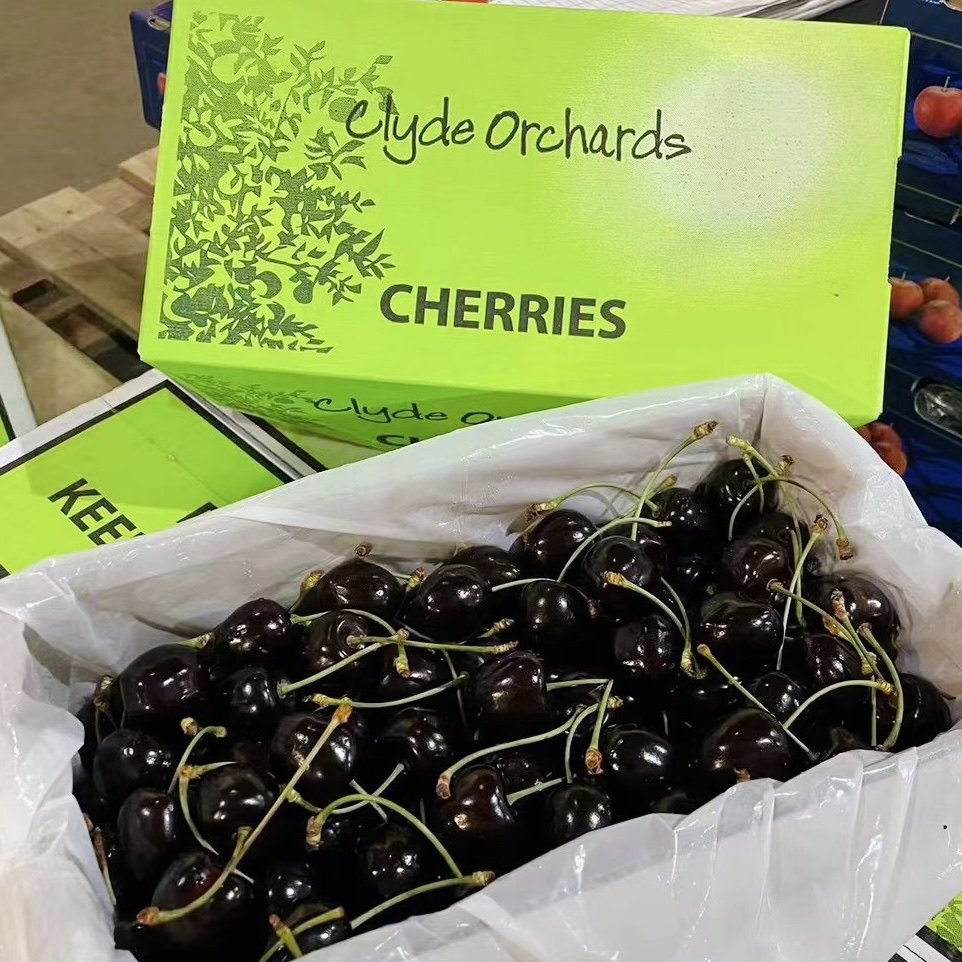 新西兰科迪亚kordia进口车厘子新鲜大樱桃孕妇水果4斤顺丰包邮,水产肉类/新鲜蔬果/熟食,车厘子/樱桃,淘宝优惠券,粉丝福利购,淘宝优惠卷