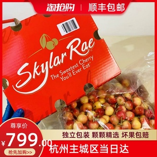 包邮 斯凯拉雷Skylar Rae天空之城黄车厘子JJ级4斤原箱脆甜顺丰
