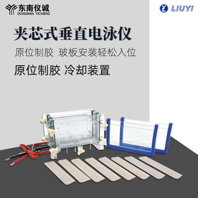 六一双板夹芯式垂直电泳仪电泳槽