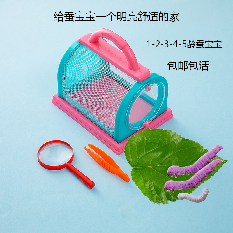 活蚕宝宝屋学生观察套餐1龄234龄蚕宝宝七彩蚕饲料新鲜桑叶彩色活