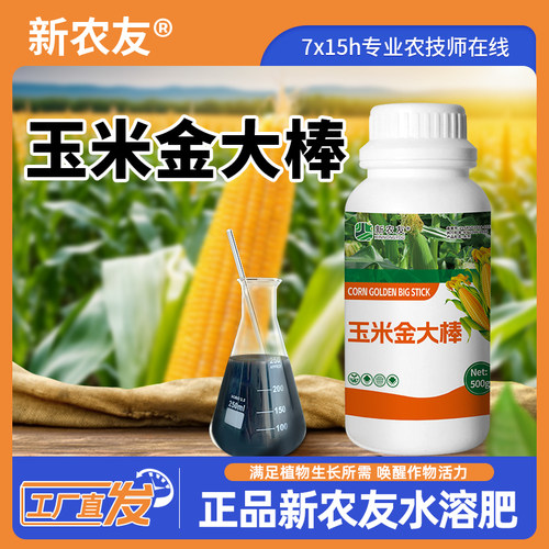 【官方正品】玉米金大棒