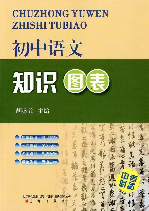 【商城正版】初中语文图表中考名师点评启迪思维胡盛元主编初三复习辽海出版