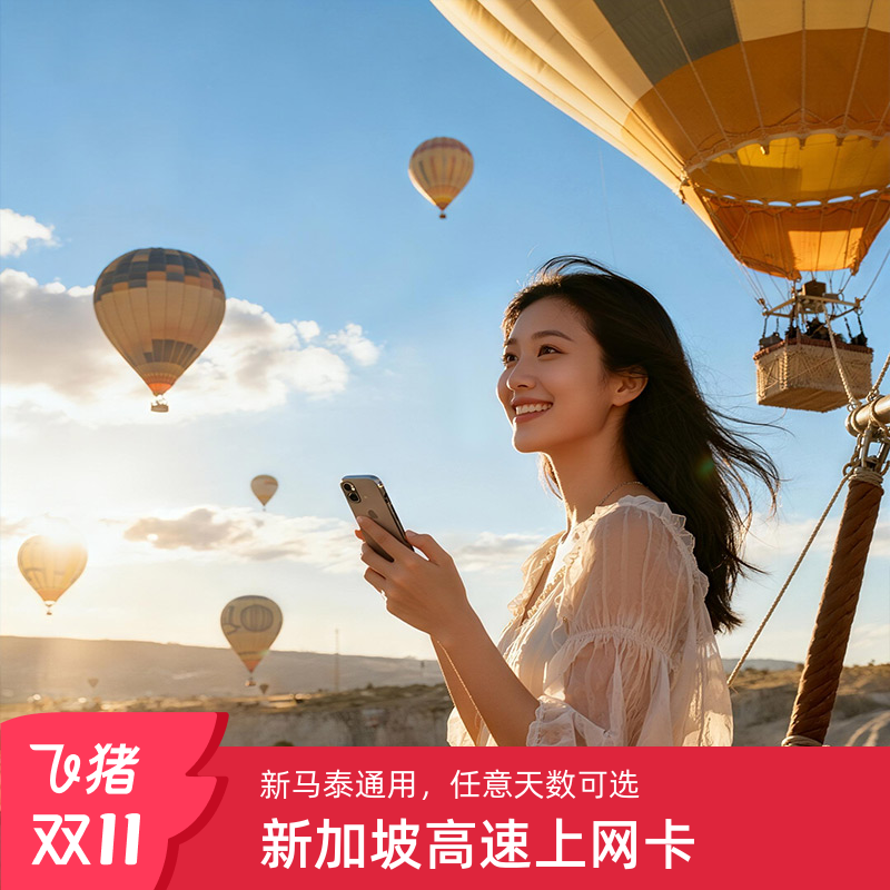 新加坡电话卡