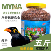 央科鹩哥鸟食八哥饲料营养画眉鸟专用鹩哥饲料5斤亮毛肥膘