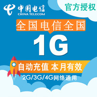 【中国电信流量1g充值全国】价格_多少钱