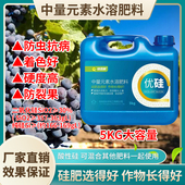 螯合液体硅硅肥防虫抗病防裂增加硬度防裂果早上市强茎壮杆抗倒伏