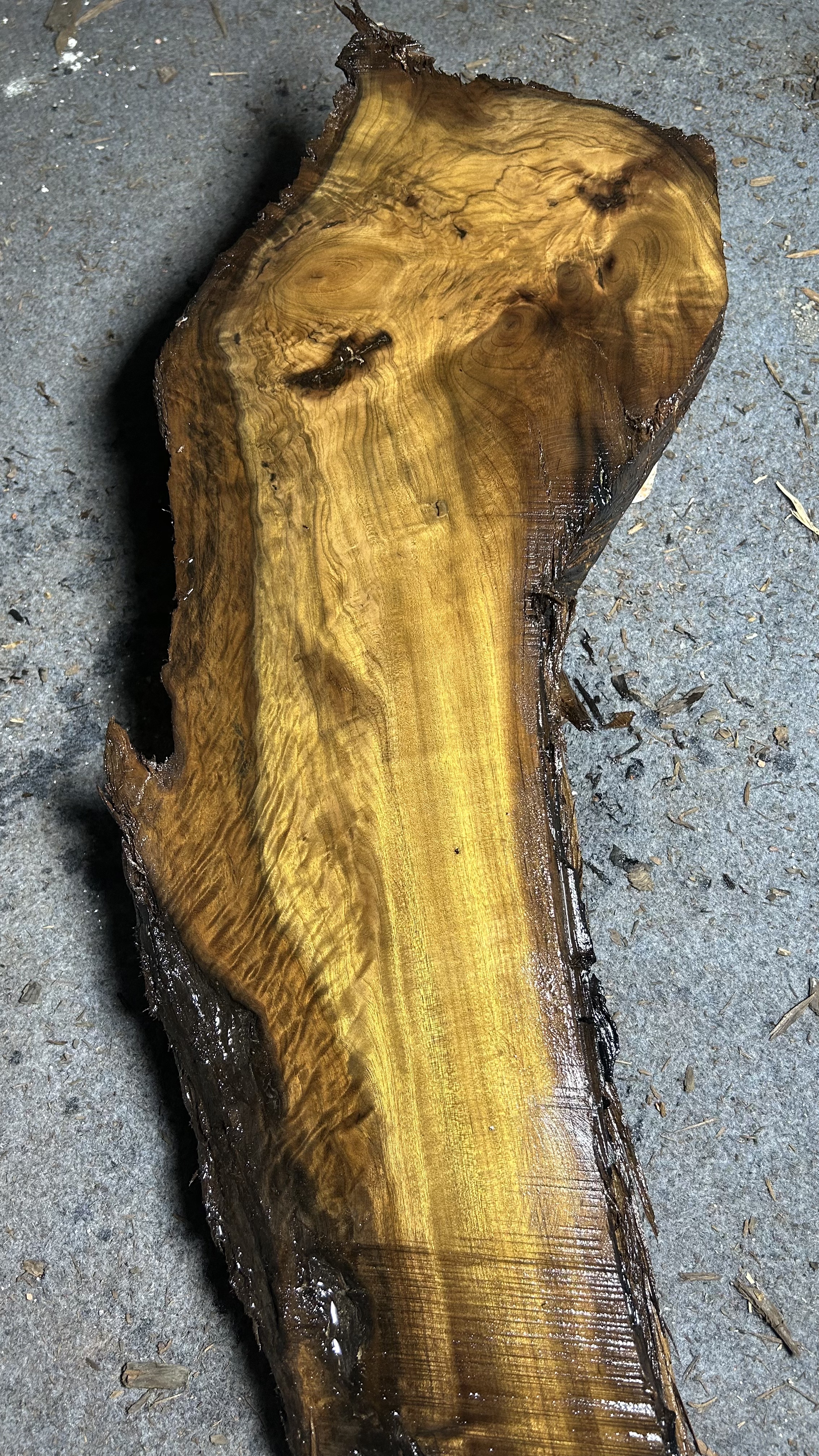 阴沉金丝楠木料水波  闪电瘤花纹干泡茶盘珠子料 尺寸 67/28/4.5