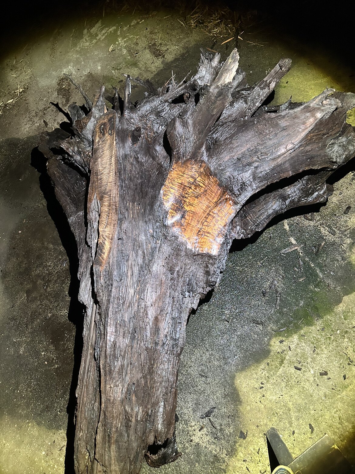 阴沉金丝楠木料满花根子大茶台料干料帝王黄满水波尺180/175/100