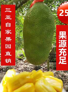 25斤海南新鲜菠萝蜜包邮红肉