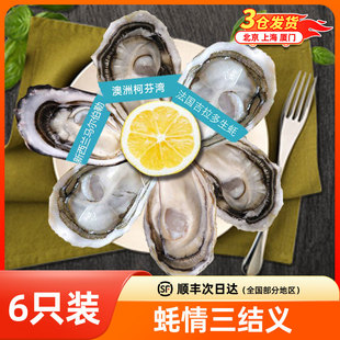 进口生蚝三国组合6粒法国吉拉多新西兰马尔伯勒澳洲柯芬湾生蚝