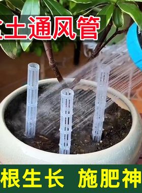 新款盆土通风管通气管透气管防闷根烂根根腐病透气花盆爆根透明