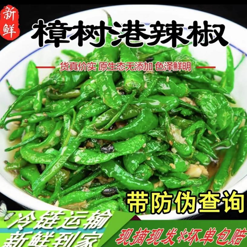 正宗樟树港辣椒椒农自种精品新鲜现摘湘菜下饭菜湖南湘阴特产礼品 水产肉类/新鲜蔬果/熟食 辣椒 原图主图