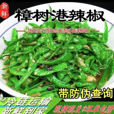 正宗樟树港辣椒椒农自种精品新鲜现摘湘菜下饭菜湖南湘阴特产礼品