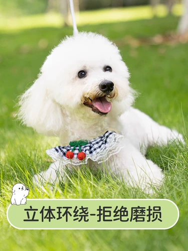 Поводок для собак Бишон фризе, милая прогулочная цепь для собак, шлейка для маленьких собак, поводок для щенков померанского шпица Тедди
