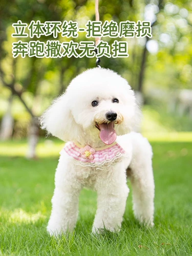 Поводок для собак Бишон фризе, милая прогулочная цепь для собак, шлейка для маленьких собак, поводок для щенков померанского шпица Тедди