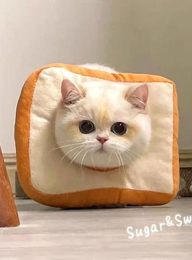 伊丽莎白圈猫绝育猫咪狗狗软项圈防舔咬吐司面包脖圈可调节羞耻圈