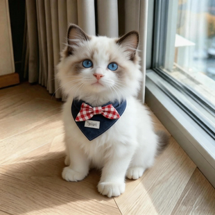 猫咪可爱口水巾宠物狗狗围脖领结围兜小型犬布偶蓝白泰迪比熊装饰