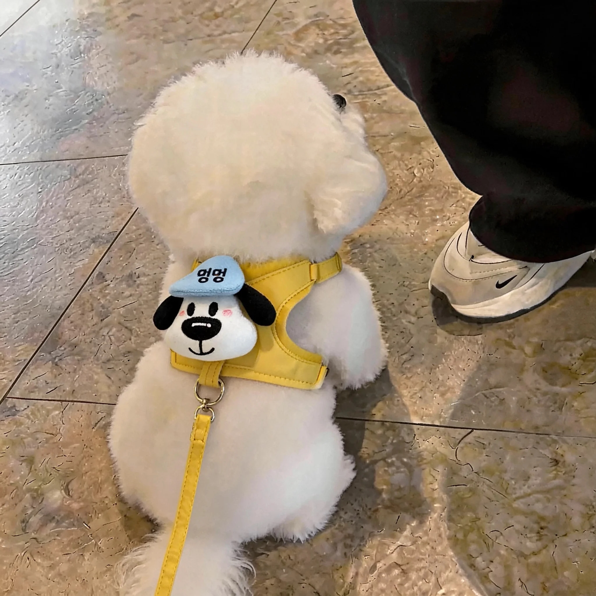狗狗胸背带卡通小狗透气牵引绳小型犬宠物猫咪泰迪比熊外出防挣脱图片