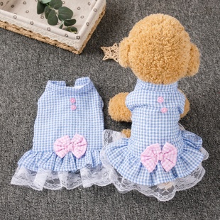 猫咪裙子衣服夏季薄款可爱公主裙布偶英短蓝猫宠物狗狗透气防掉毛