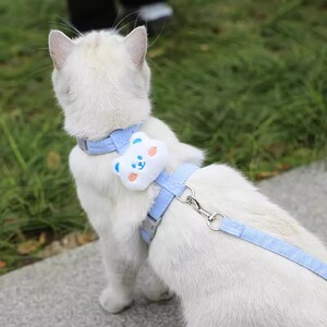 宠物猫咪牵引绳防挣脱工字绳卡通小熊小兔外出胸背小型犬狗狗栓绳