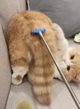 挠痒痒逗猫棒长杆自嗨解闷神器质量好的猫咪用品大全猫玩具刷子