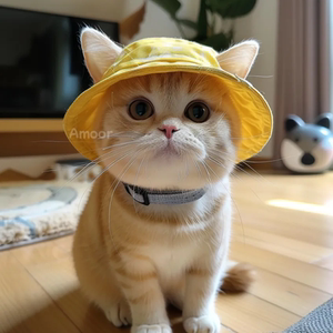 猫咪狗狗帽子露耳朵夏季宠物防晒可爱太阳帽薄款德文猫小狗渔夫帽