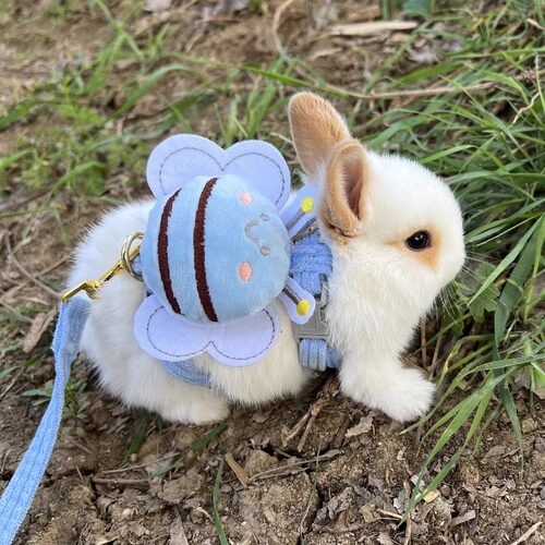 兔子牵引绳遛兔绳兔兔外出防挣脱可调节侏儒兔荷兰猪防抓拴兔绳