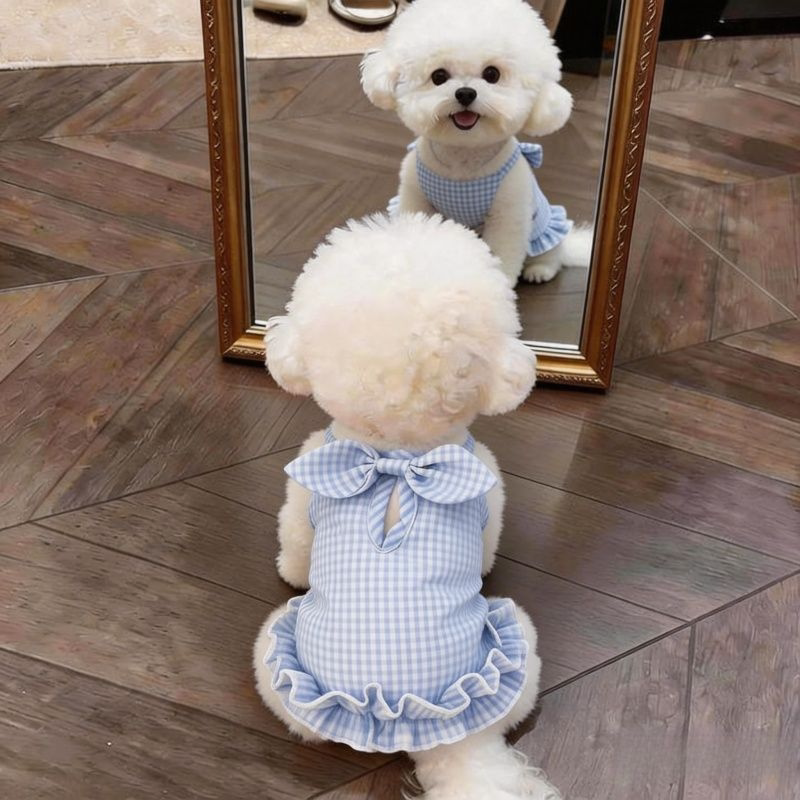 狗狗衣服夏季薄款公主风吊带裙泰迪比熊博美宠物猫咪可爱飞袖背心图片