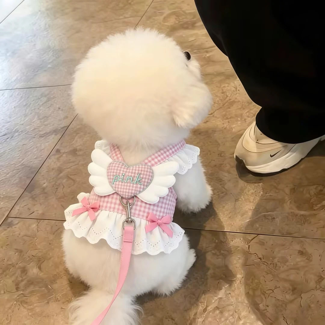 狗狗衣服夏季胸背透气甜心天使翅膀宠物比熊泰迪猫咪可牵引公主裙图片