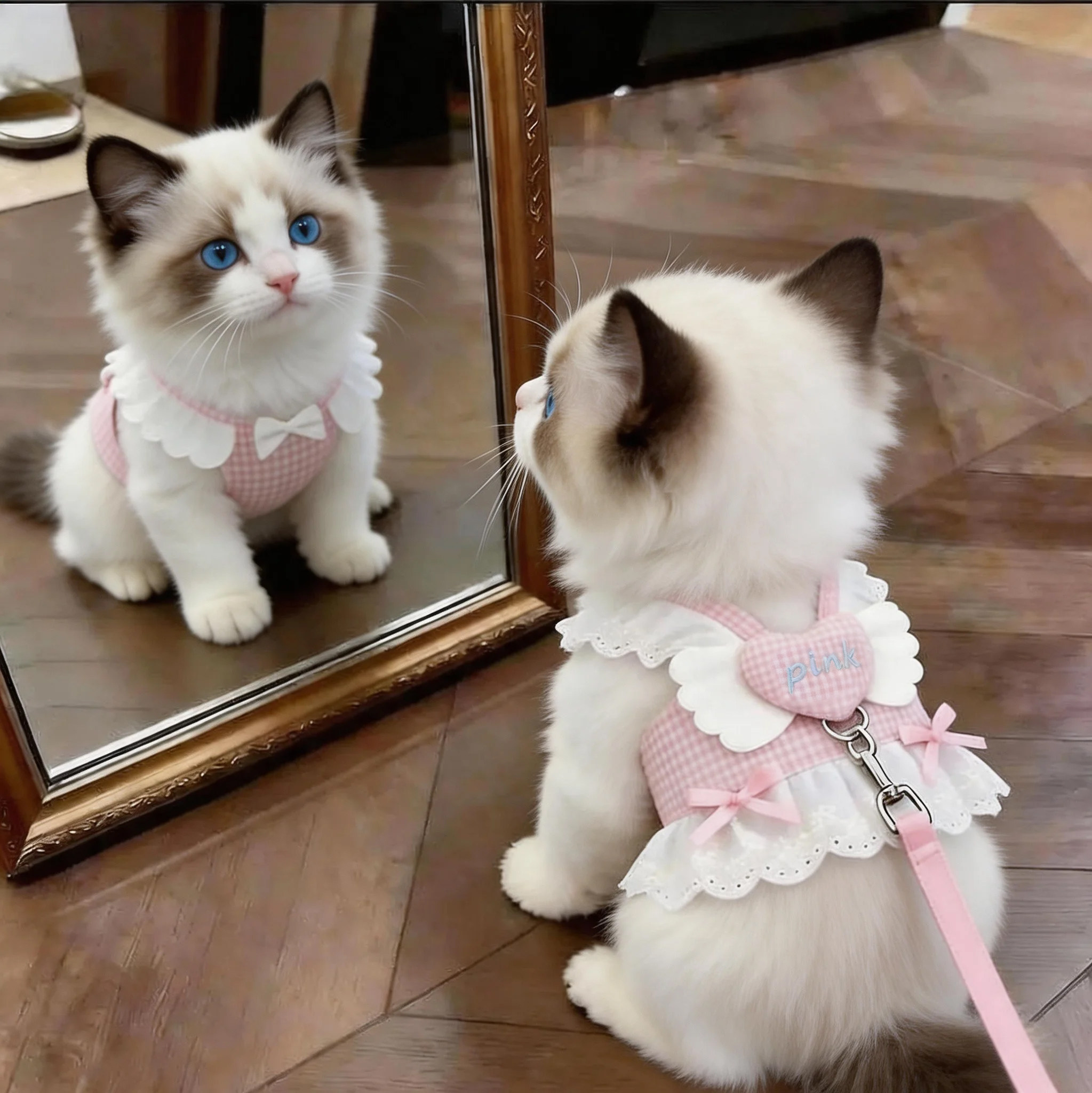 猫咪牵引绳甜美翅膀爱心牵引裙防挣脱专用遛猫胸背带幼猫宠物用品