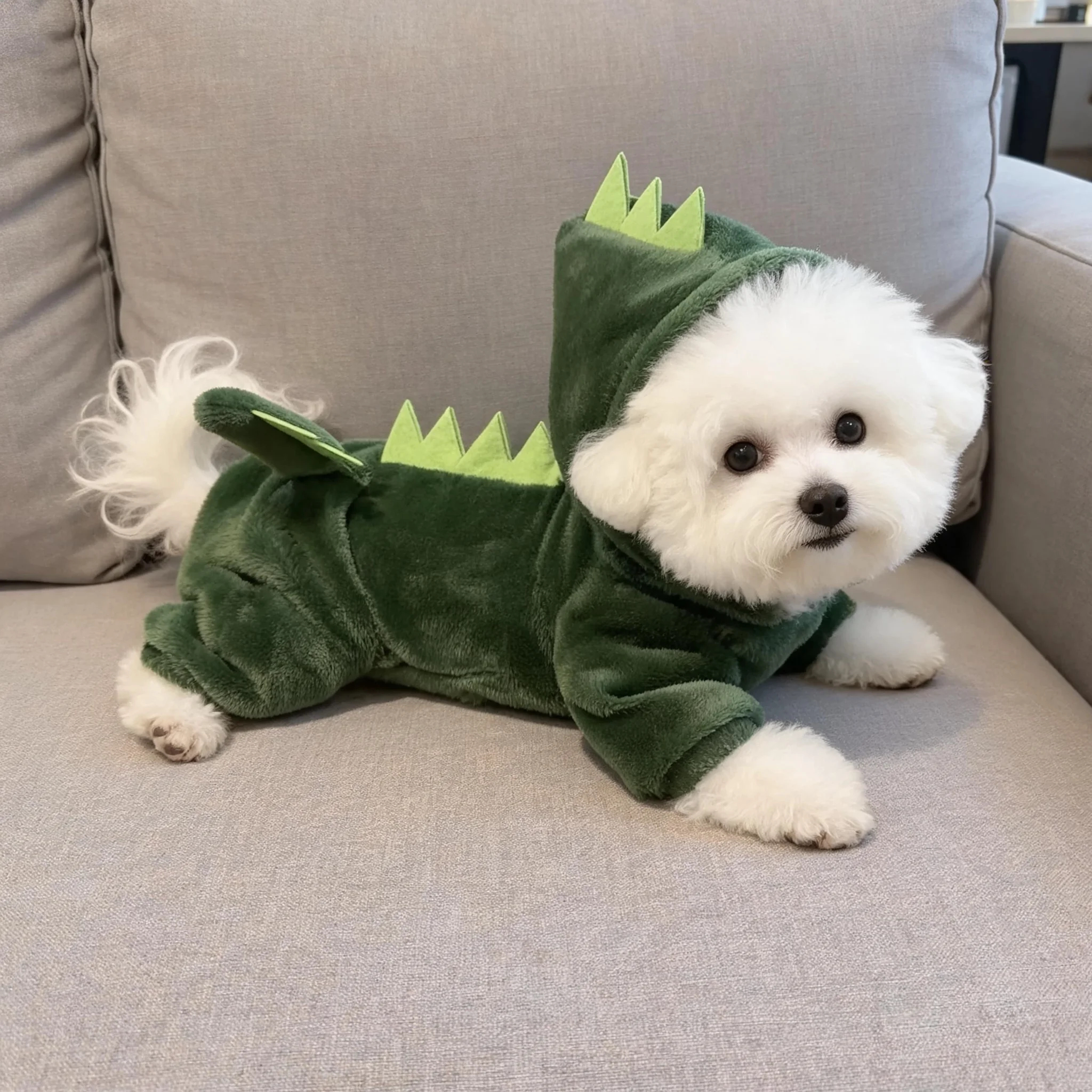 秋冬狗狗衣服保暖加厚小狗变身装泰迪比熊柯基宠物猫咪防掉毛四脚