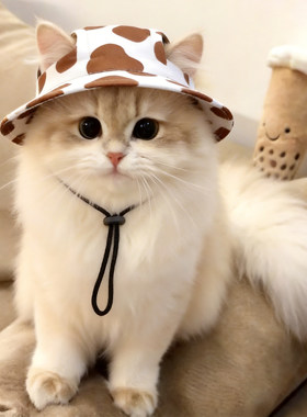 可爱露耳朵猫咪帽子夏季宠物防晒太阳帽奶牛猫小狗遮阳狗狗渔夫帽