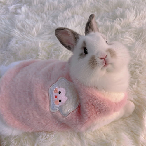 宠物小兔子穿的衣服秋冬保暖可爱垂耳兔侏儒兔幼兔荷兰猪外出专用