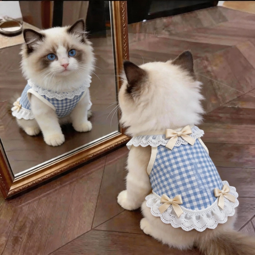 宠物猫咪衣服夏季薄款布偶英短蝴蝶结花边防掉毛背心狗狗公主裙