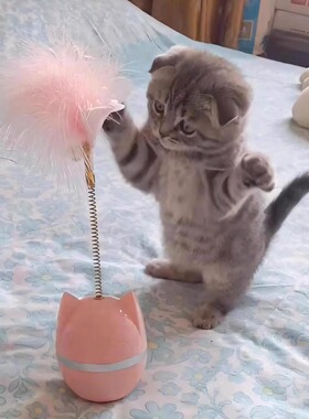 猫玩具不倒翁逗猫棒羽毛铃铛自嗨解闷转盘逗猫神器磨牙小猫咪玩具