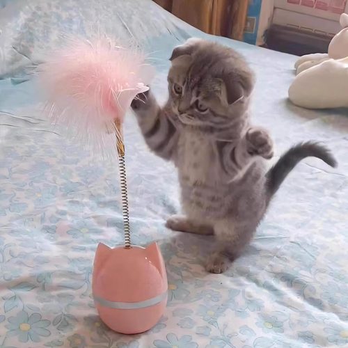 猫玩具不倒翁逗猫棒羽毛铃铛自嗨解闷转盘逗猫神器磨牙小猫咪玩具