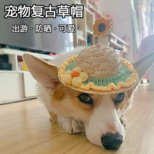 狗狗猫咪夏天竹蜻蜓草帽可爱遮阳