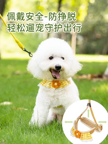 Поводок для собак Бишон фризе, милая прогулочная цепь для собак, шлейка для маленьких собак, поводок для щенков померанского шпица Тедди