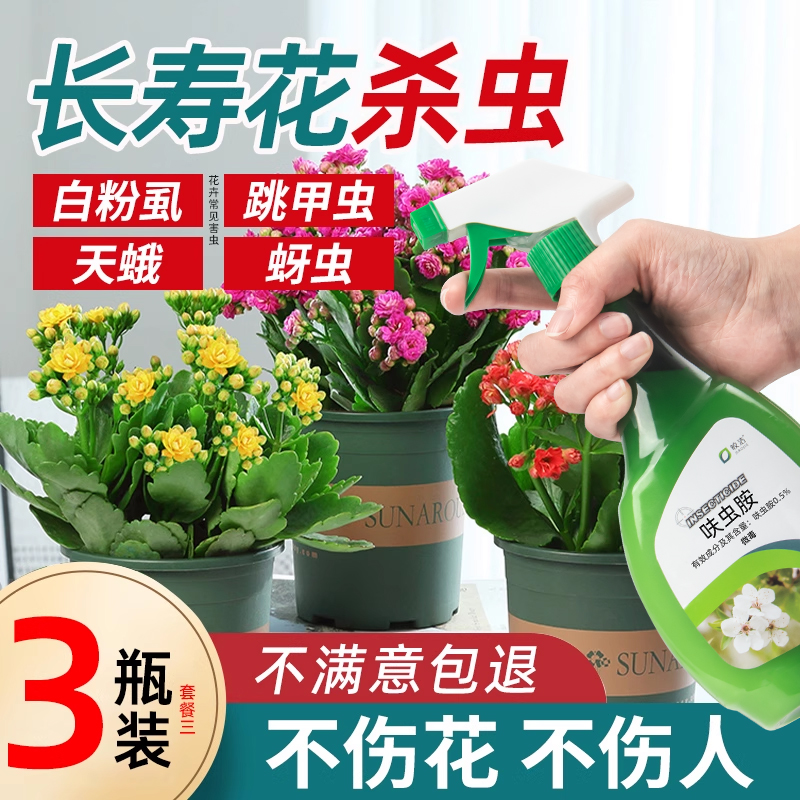 长寿花杀虫剂杀虫不伤花