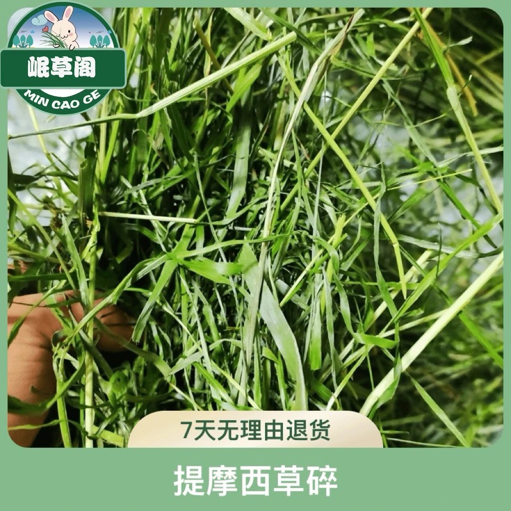 【提摩西草烘干草碎】兔兔龙猫荷兰猪主食 主草提摩西北提国提